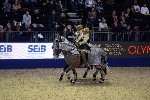 Quadrille - 00900